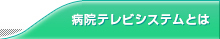 病院システムとは